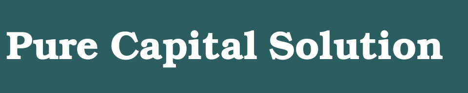 purecapitalsolution.com